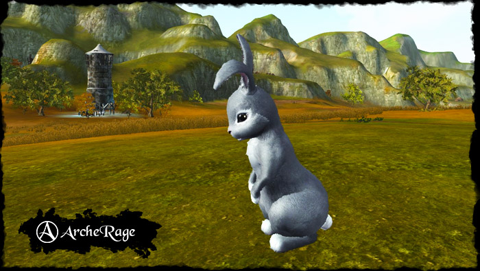 gray_rabbit.1537916459.jpg