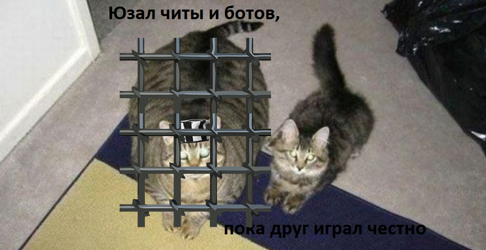 коты.png