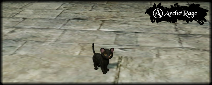 Крохотный черный котенок.PNG