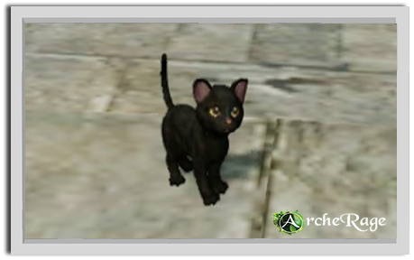 Крохотный черный котенок.PNG